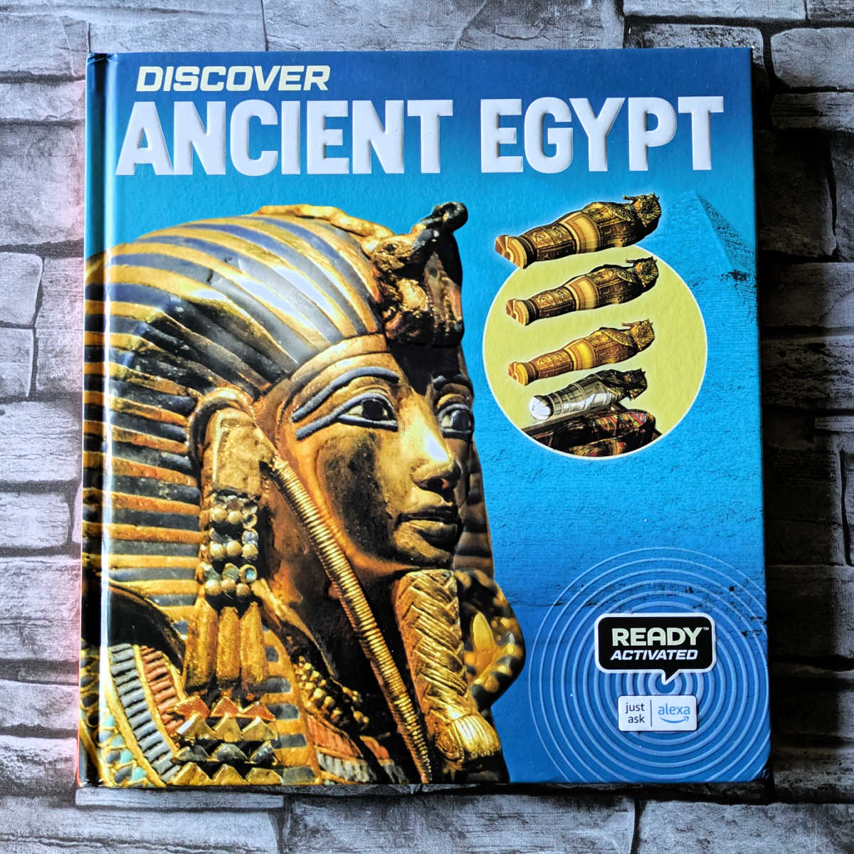 Explore the world of Ancient Egypt! This fact-filled children's book features gorgeous illustrations and Alexa interactive content (games, audio, experts) for all types of learners.