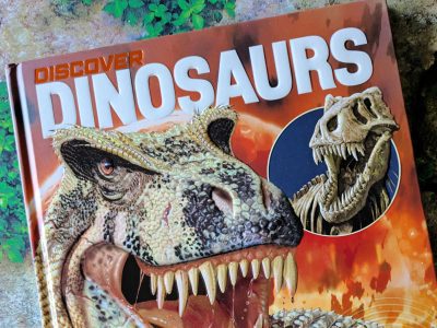 ready activated discover dinosaurs book