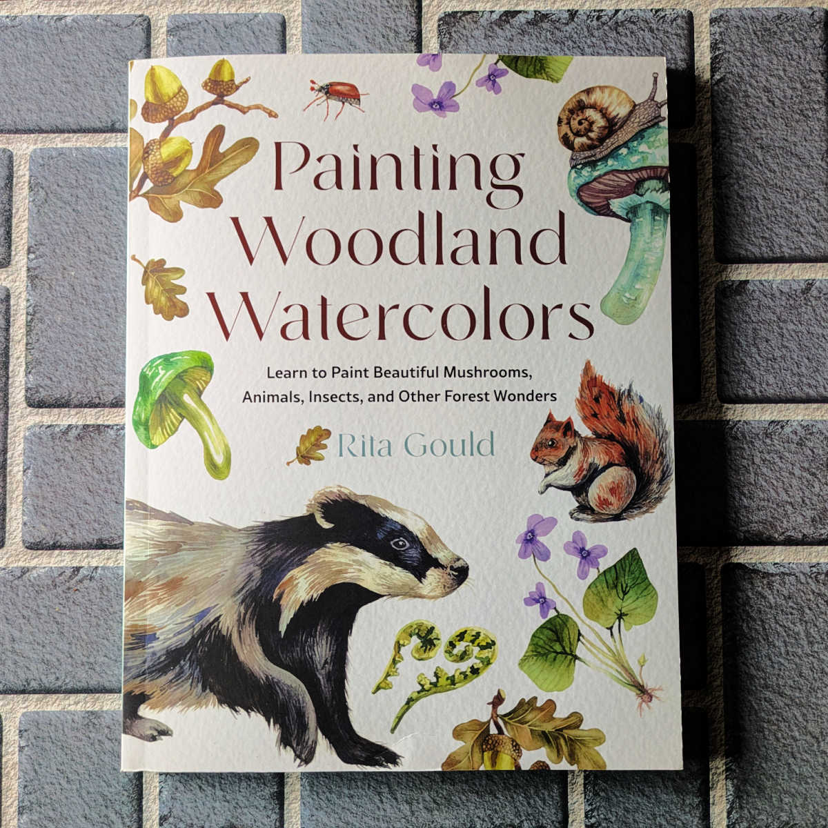 Painting Woodland Watercolors is a very fun guide to painting realistic pictures of nature (flowers, mushrooms, etc.). It features step by step instructions and QR codes for extra help!