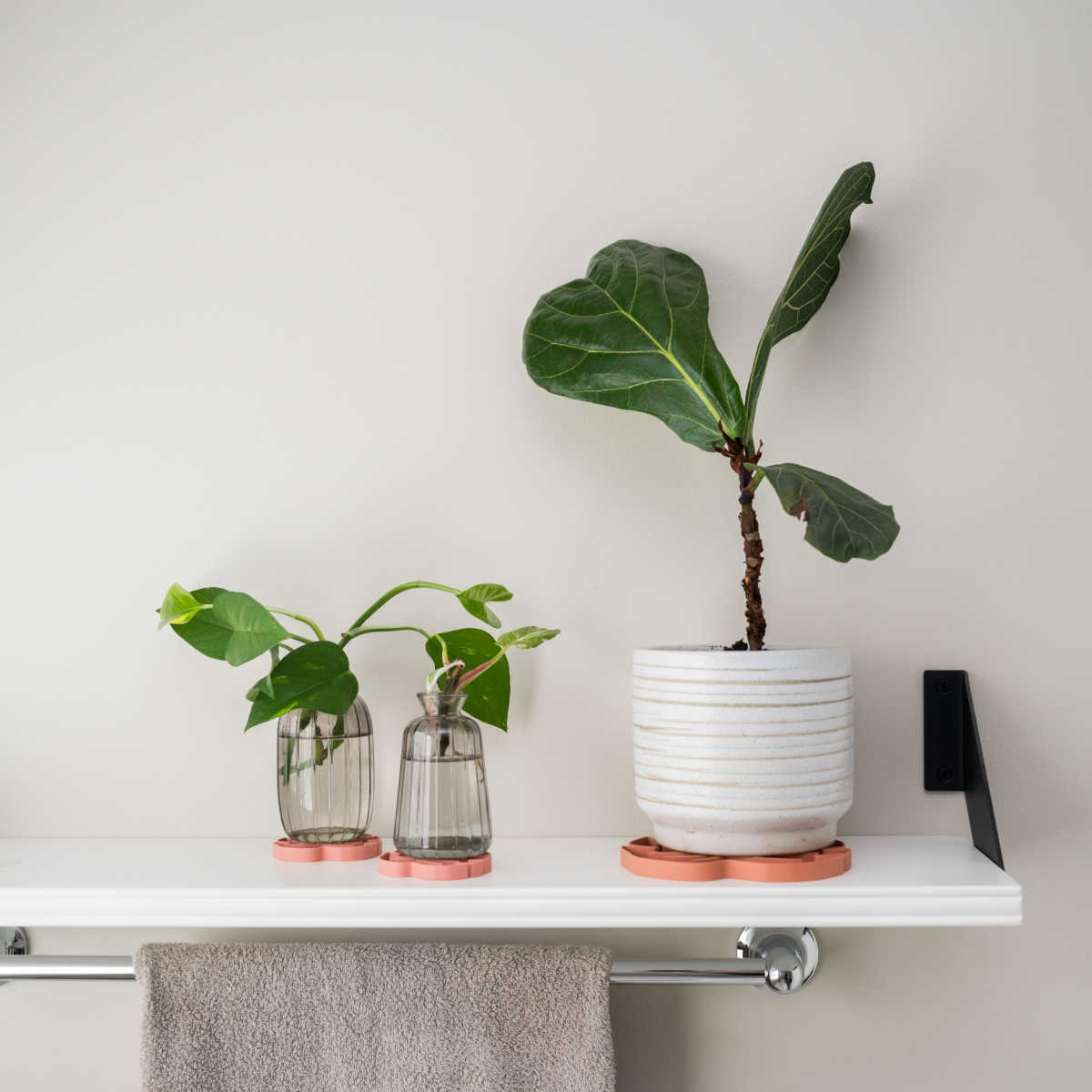 The Treleaf Monstera Leaf Plant Pot Saucer is super cute and stylish - it's more fun than a plain round saucer! This Monstera leaf-shaped product is well-made, sturdy, and a good gift. It's available in assorted sizes and colors!! 🌿