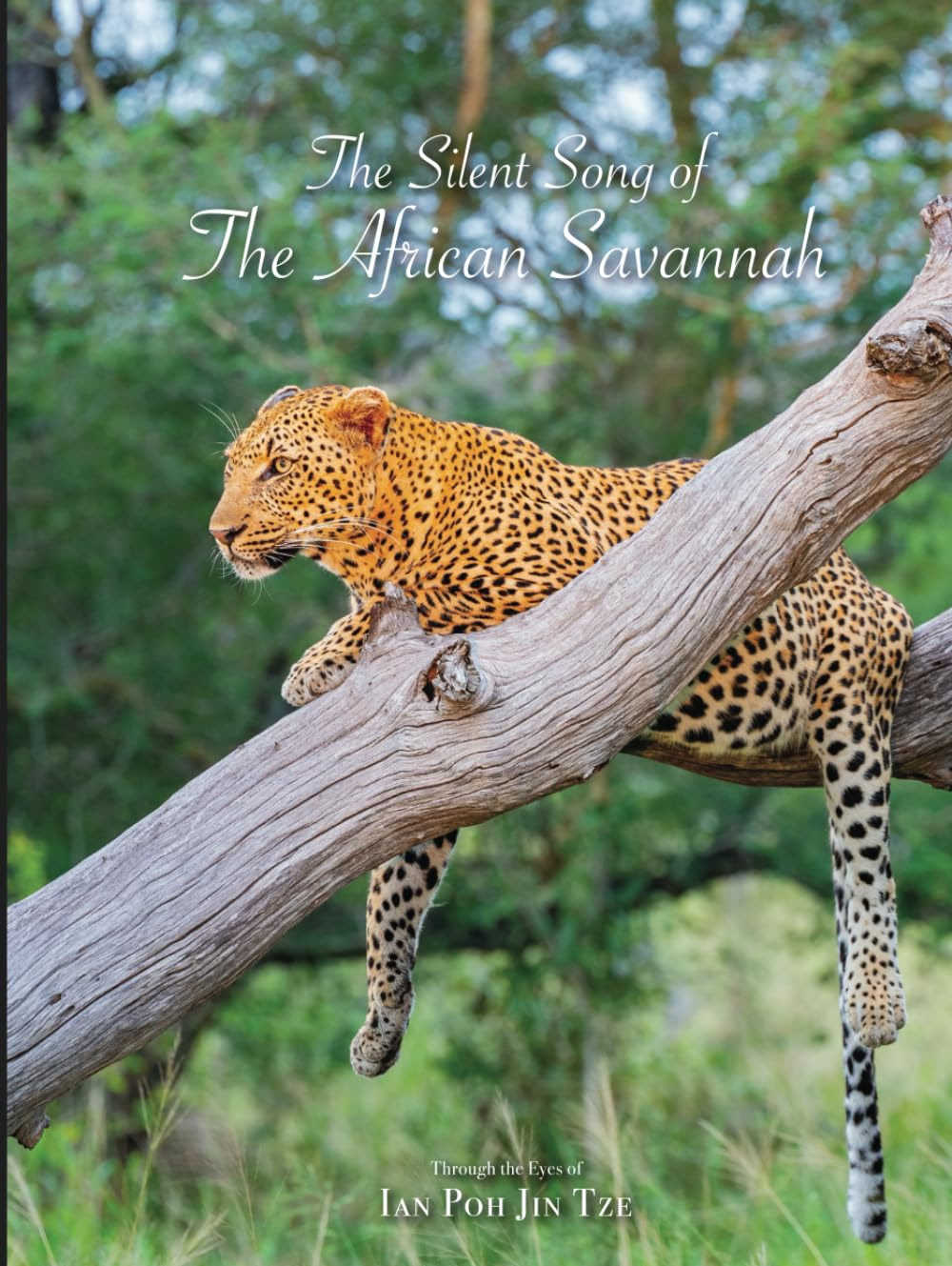 Journey through the wild with The Silent Song of The African Savannah! 🦁 This absolutely gorgeous photography book features high quality images of animals, scenery, and culture.