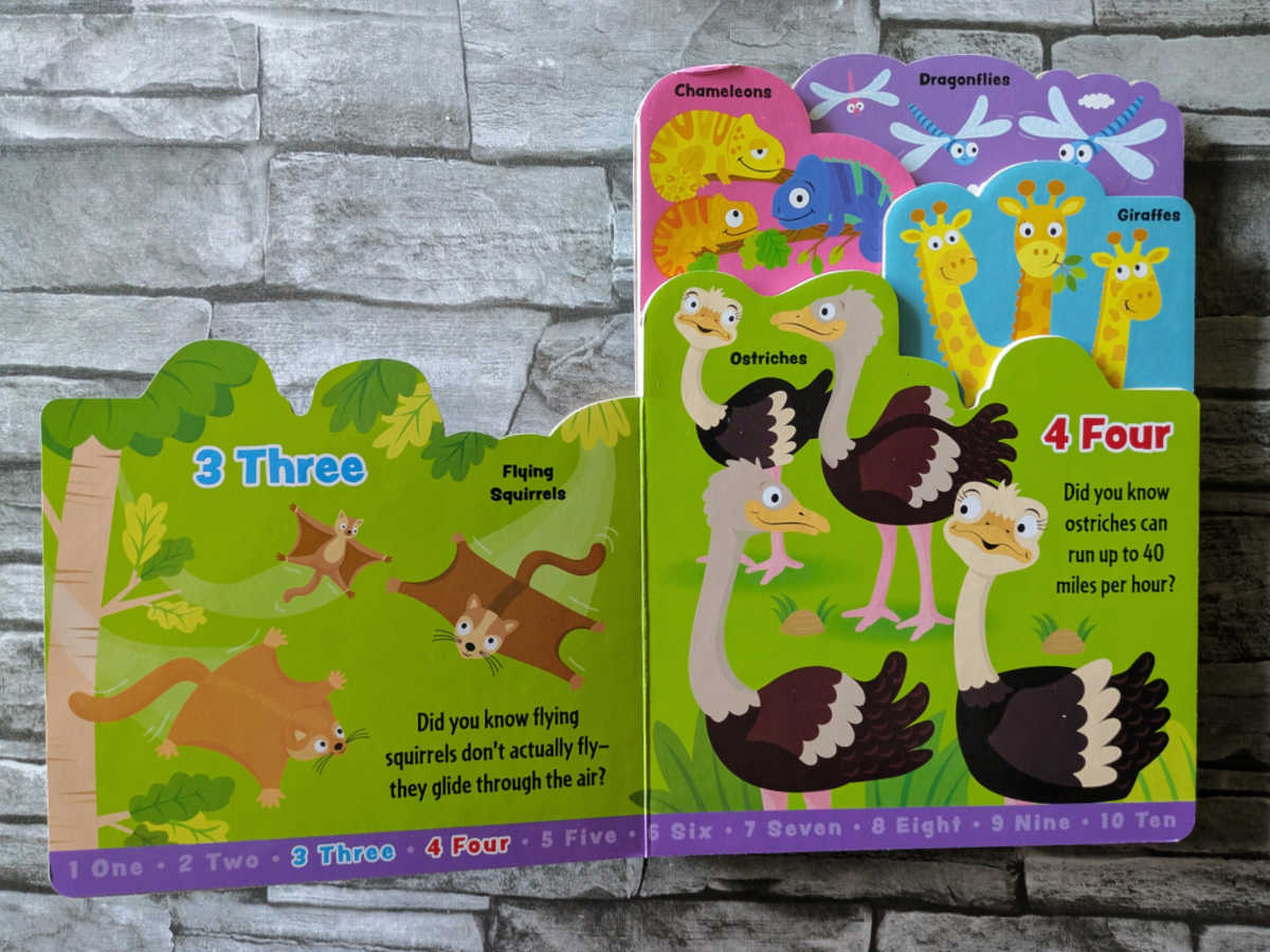 animal counting book