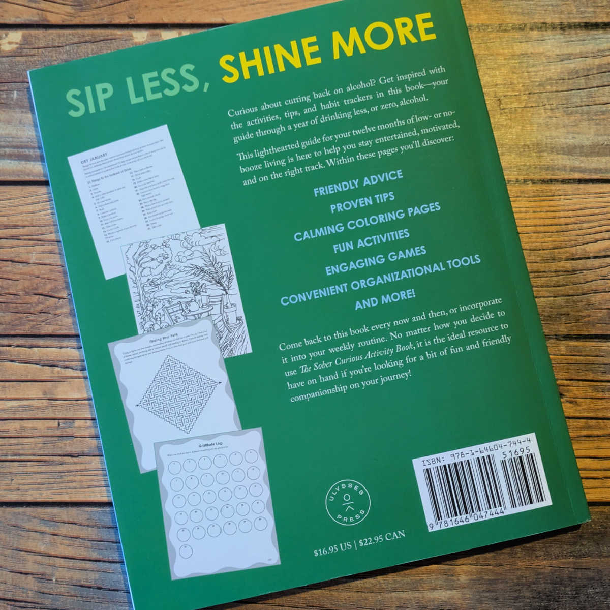 back cover the sober curious activity book