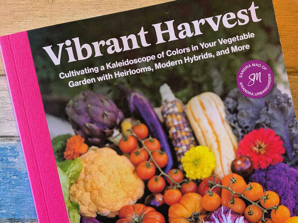 quarto vibrant harvest