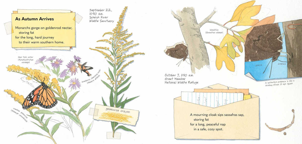 Interior illus by Sarah S. Brannen