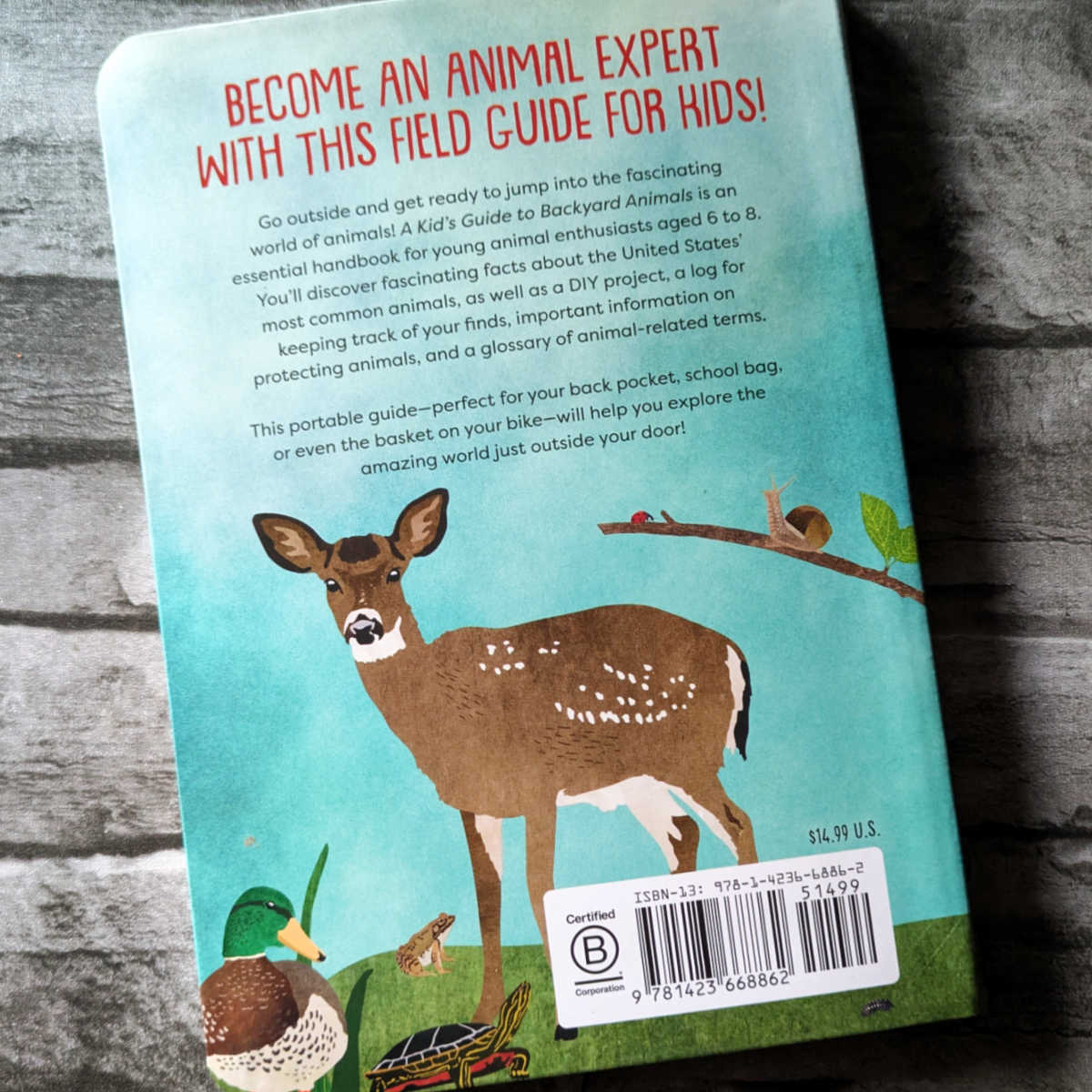 back cover kids guide to backyard animals