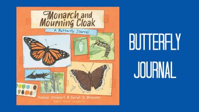 butterfly journal monarch mourning cloak