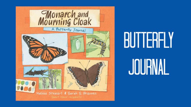 butterfly journal monarch mourning cloak
