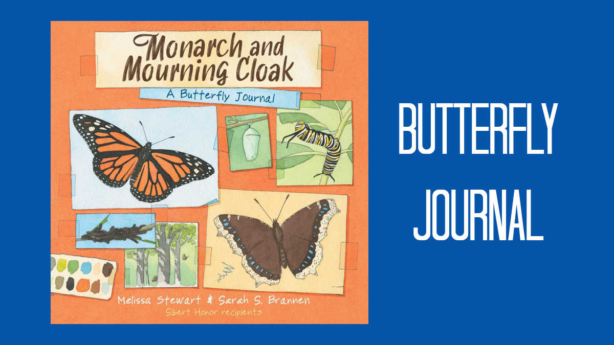 butterfly journal monarch mourning cloak