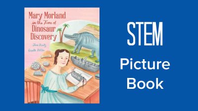 dinosaur stem picture book