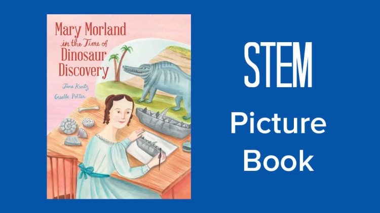 dinosaur stem picture book