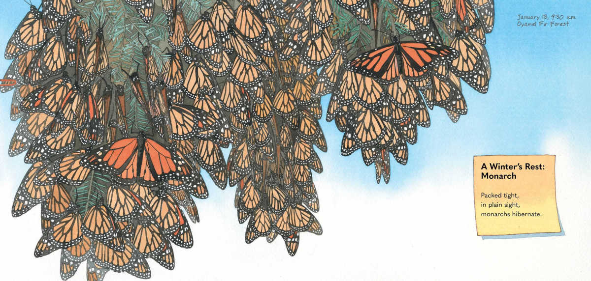 monarch butterflies journal