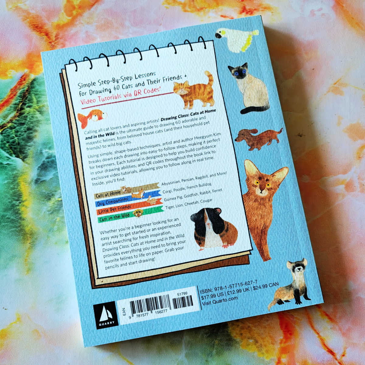 back cover drawing class cats book