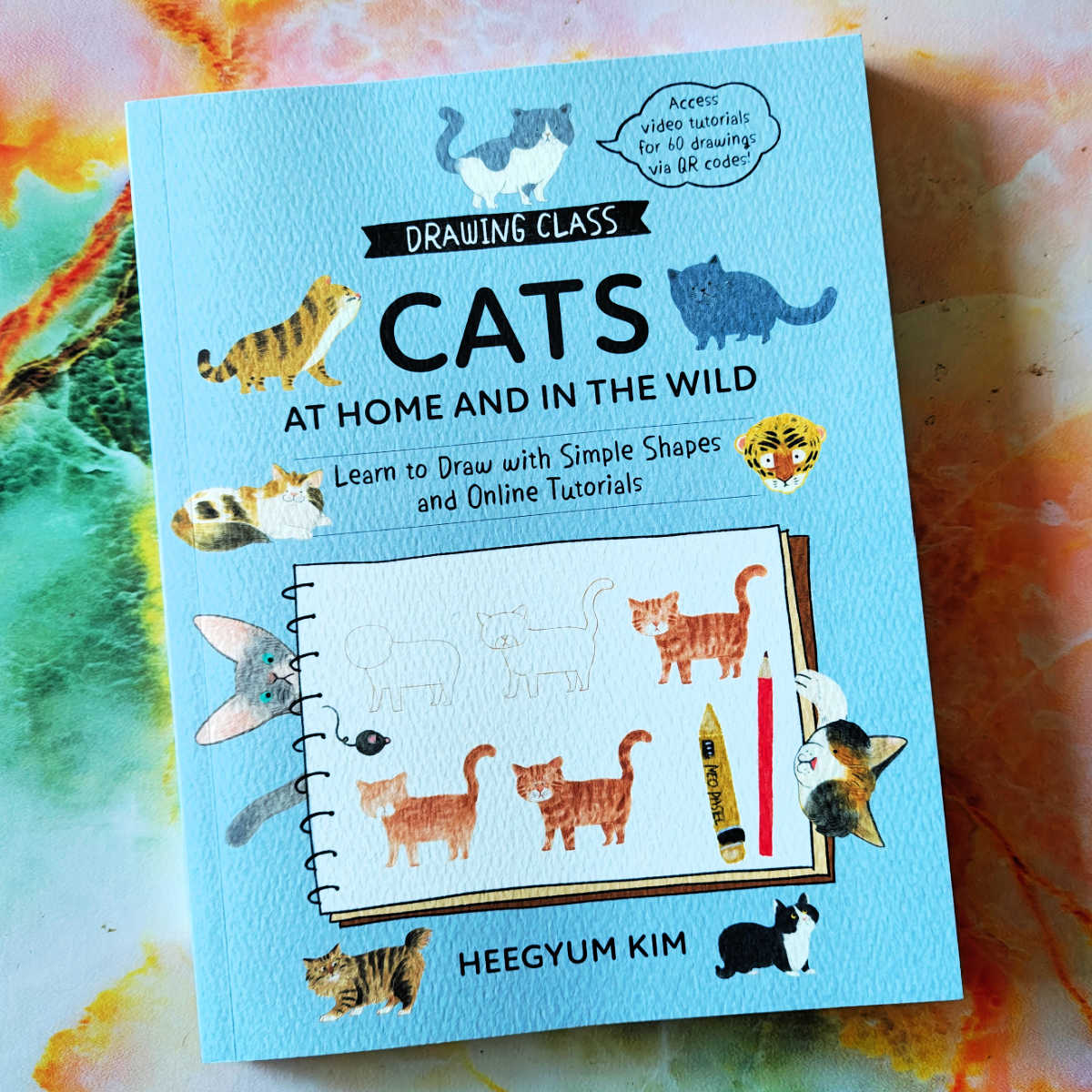 drawing class cats at home and in the wild