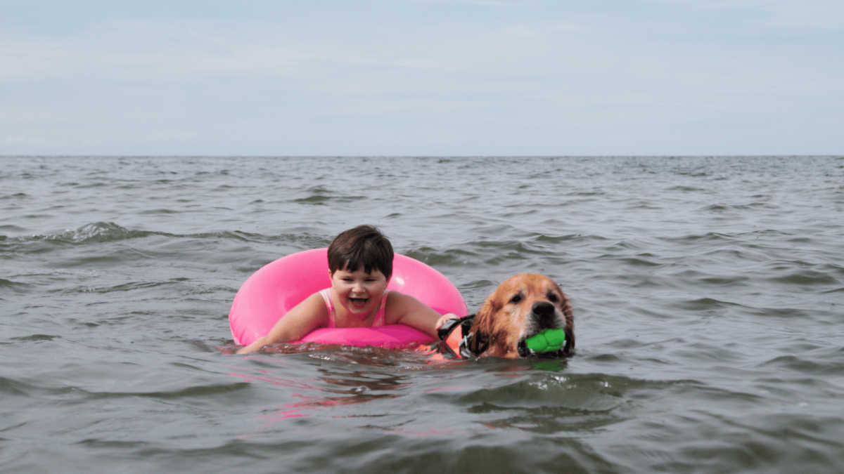 baltic sea after the rain scene
