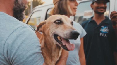 dr cliff emily and dog