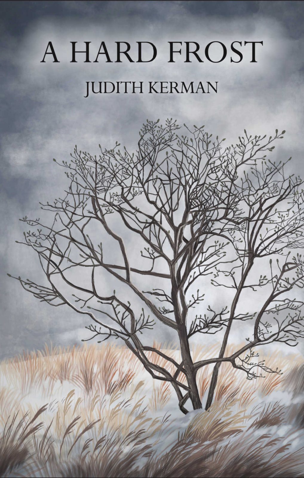 Explore the resilience of the human spirit in A Hard Frost by Judith Kerman. ❄️ This poignant poetry collection confronts aging and disability with honesty, wit, and insight. It's a meaningful read for caregivers and those navigating life’s later stages. 📖