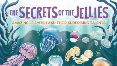 jellyfish book for kids