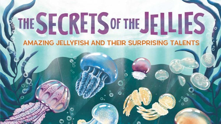 jellyfish book for kids