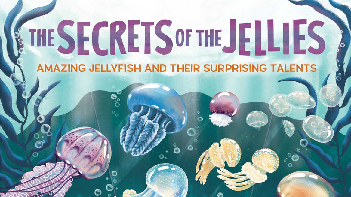jellyfish book for kids