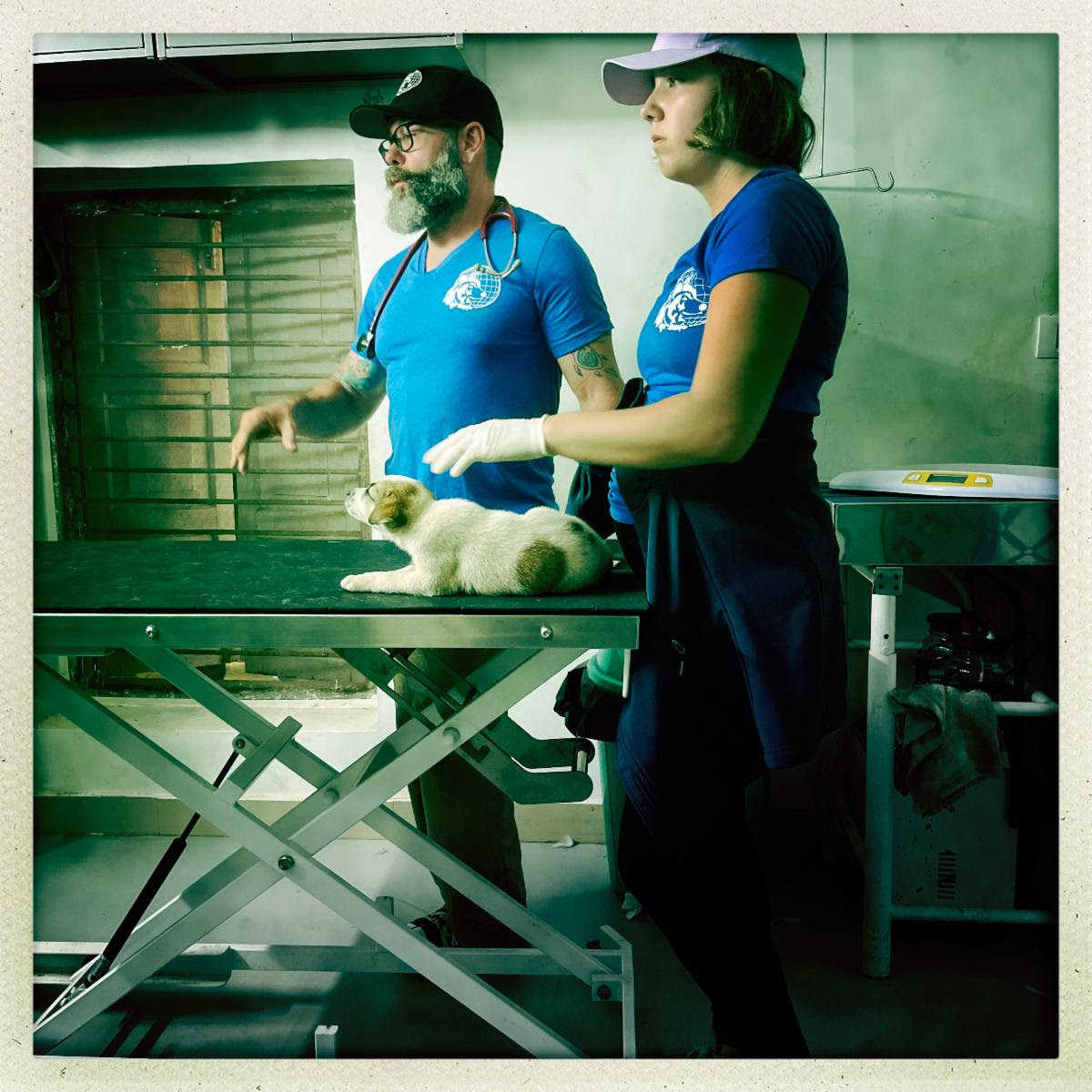 scene in Dr Cliff Worldwide Vet