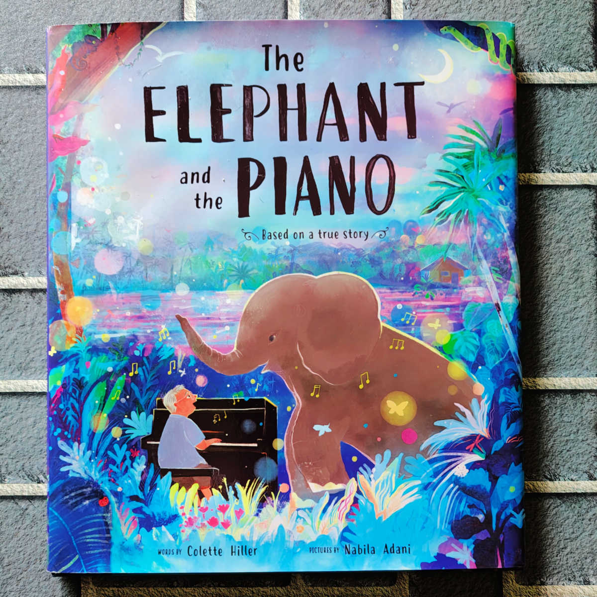 Elephant and the Piano book