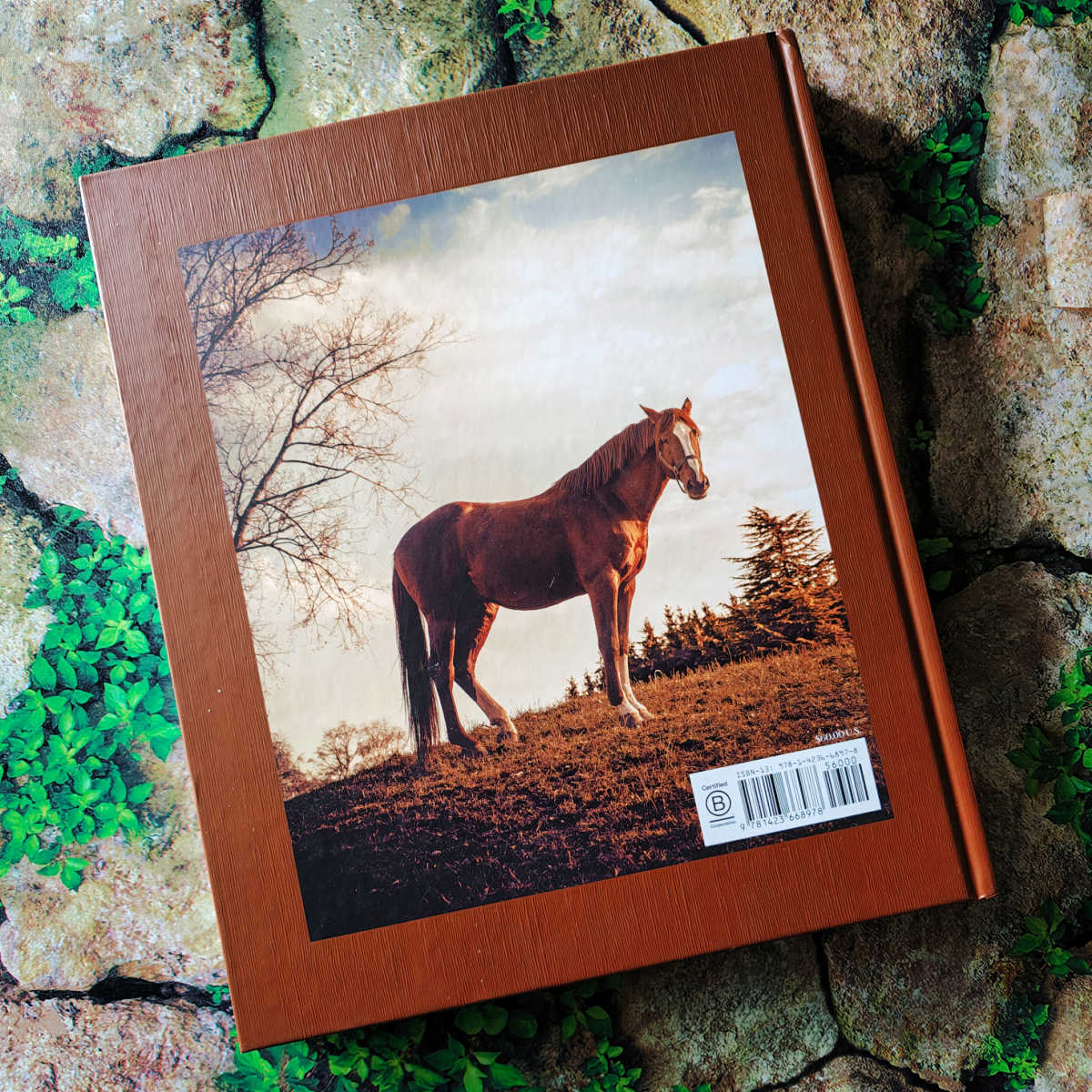 back cover horse country book