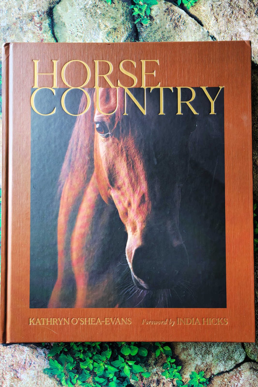 Horse Country is a beautiful hardcover coffee table book that showcases gorgeous photos of the equestrian lifestyle, from race horses to stunning barns. This vibrant and inspirational visual journey is a good gift for people who want to explore the horse experience.