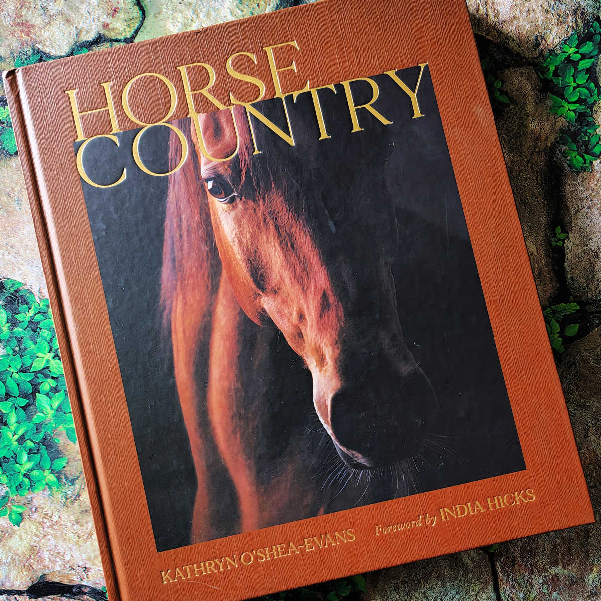 illustrated horse country book