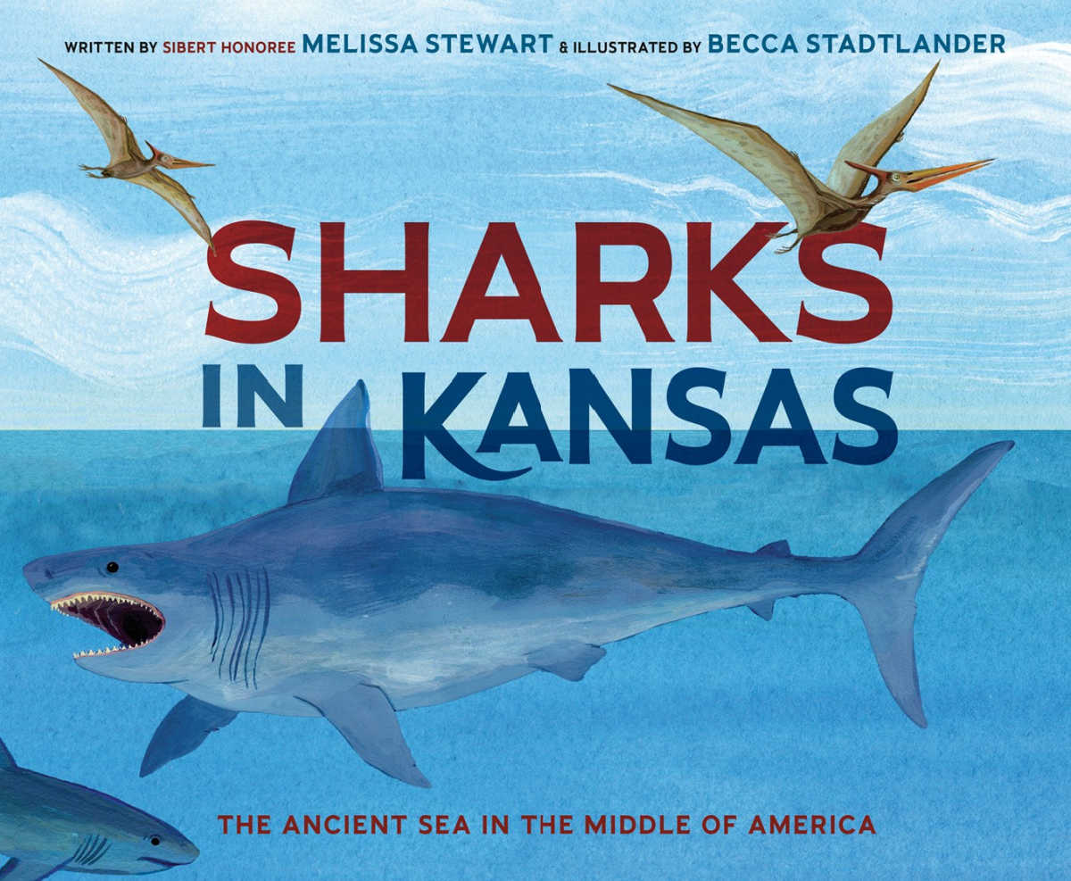 picture book cover sharks in kansas