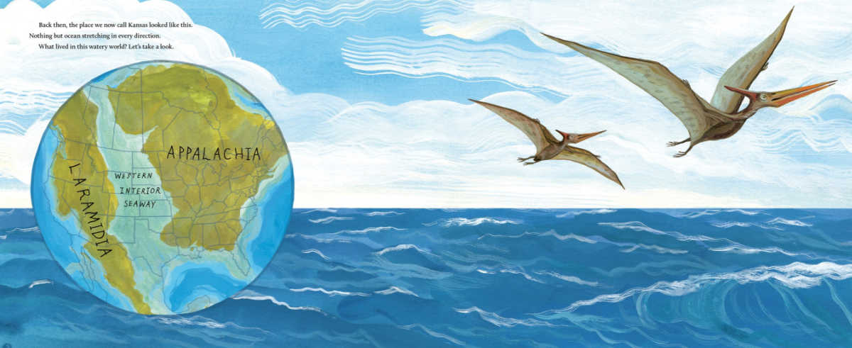 sharks in kansas interior pages