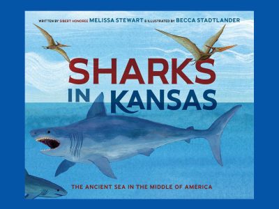 sharks in kansas shark book