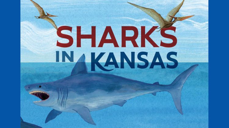 sharks in kansas shark book
