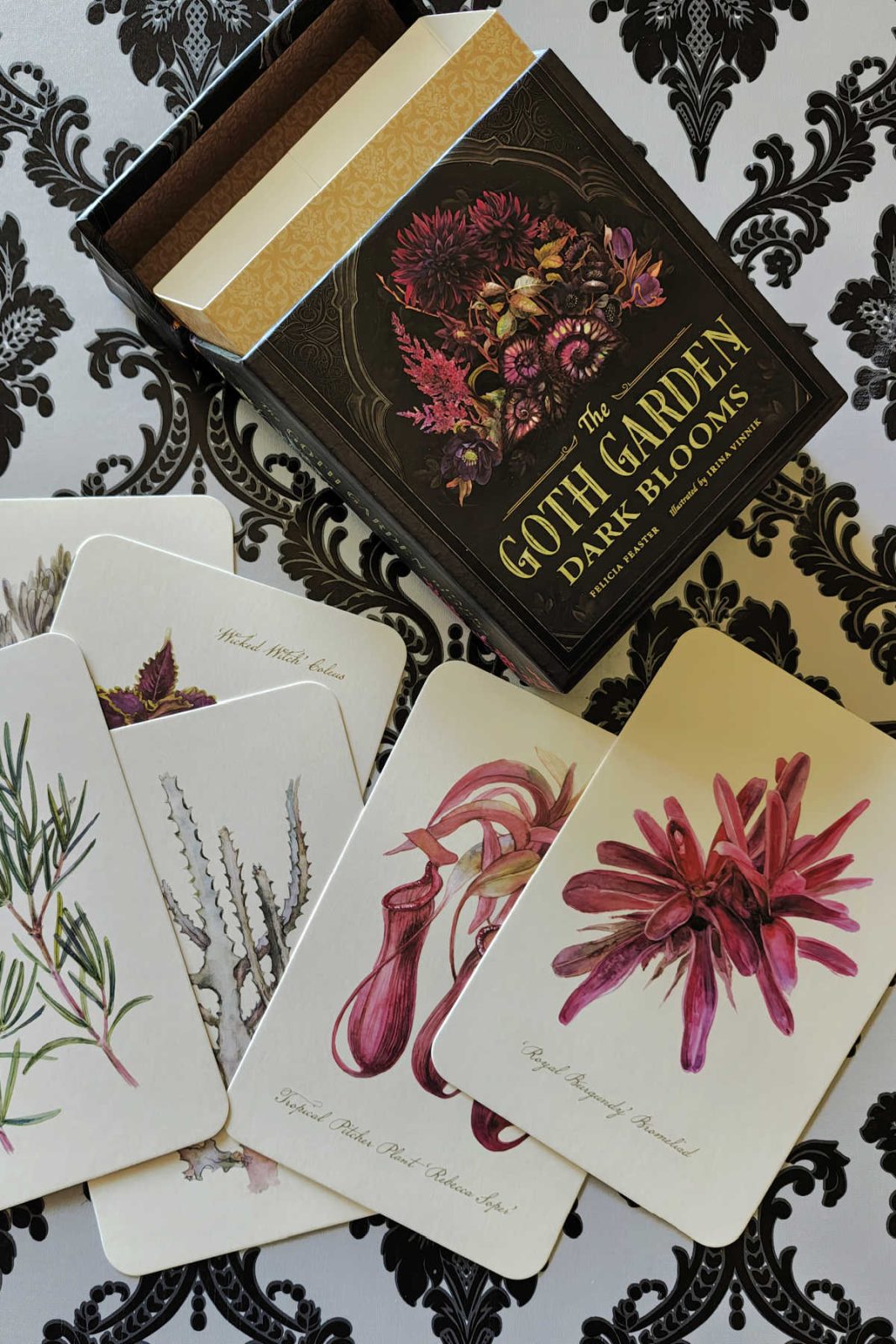 This review of The Goth Garden Postcard Set highlights a beautiful boxed set of 50 high-quality, thick postcards. Discover how the stunning dark floral and gothic garden artwork makes a perfect gift for plant lovers