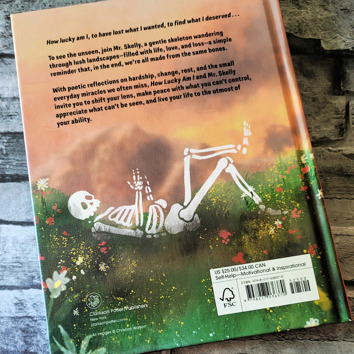 back cover mr skelly book