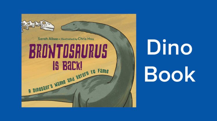 dino book for kids