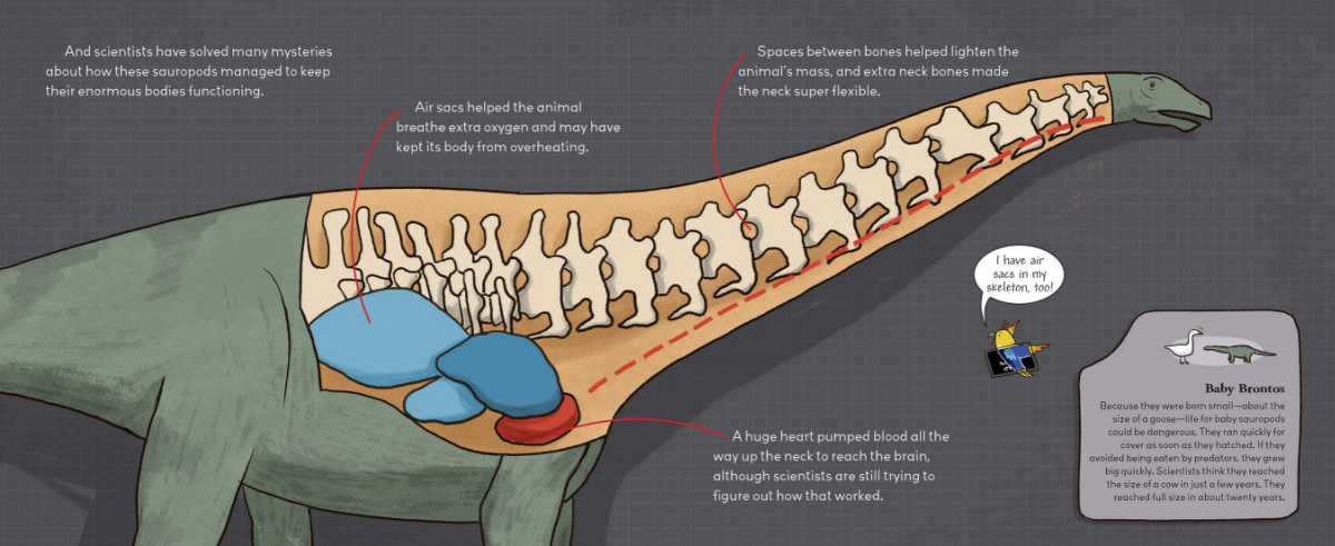 illustrated brontosaurus book