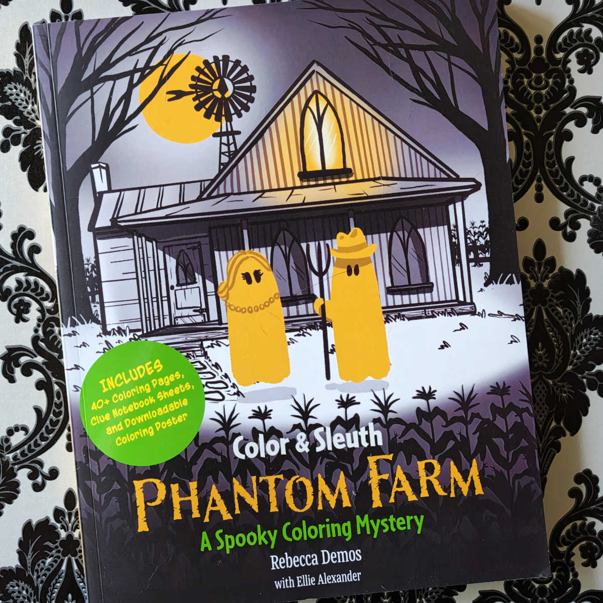 color and sleuth phantom farm spooky mystery coloring book