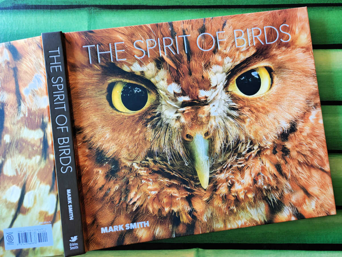 Experience the majesty of avian life with The Spirit of Birds by Mark Smith! Discover how award-winning wildlife photography, inspiring storytelling, and premium hardcover printing make this Gibbs Smith volume an essential coffee table addition for birdwatchers and nature enthusiasts.